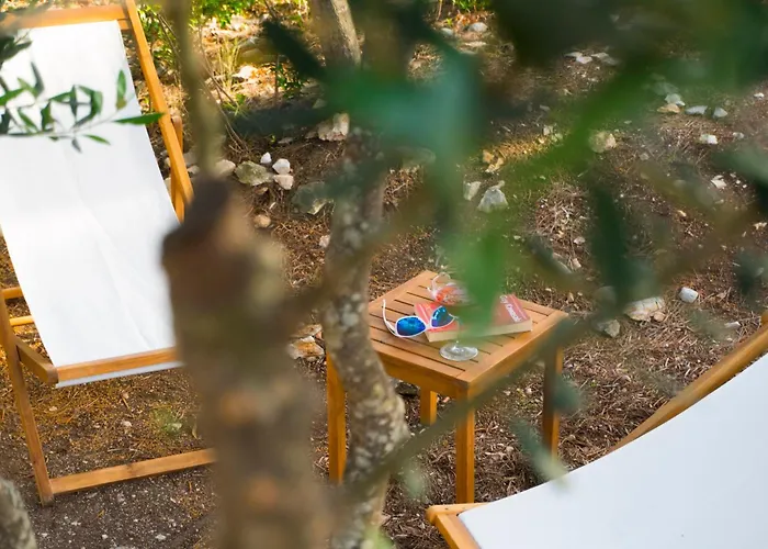 住宿加早餐酒店 Viscovery Boutique