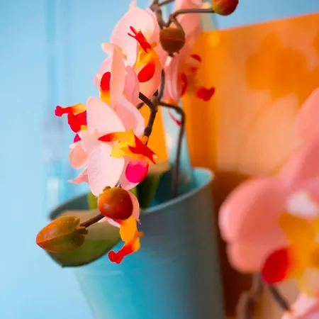 Viscovery Boutique Rukavac (Vis)