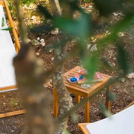 Bed and breakfast Viscovery Boutique