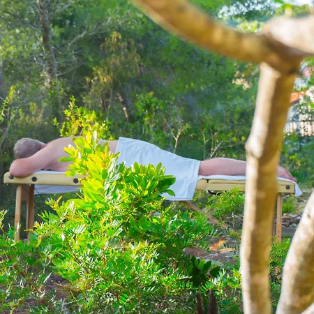 Viscovery Boutique Bed and breakfast 3*